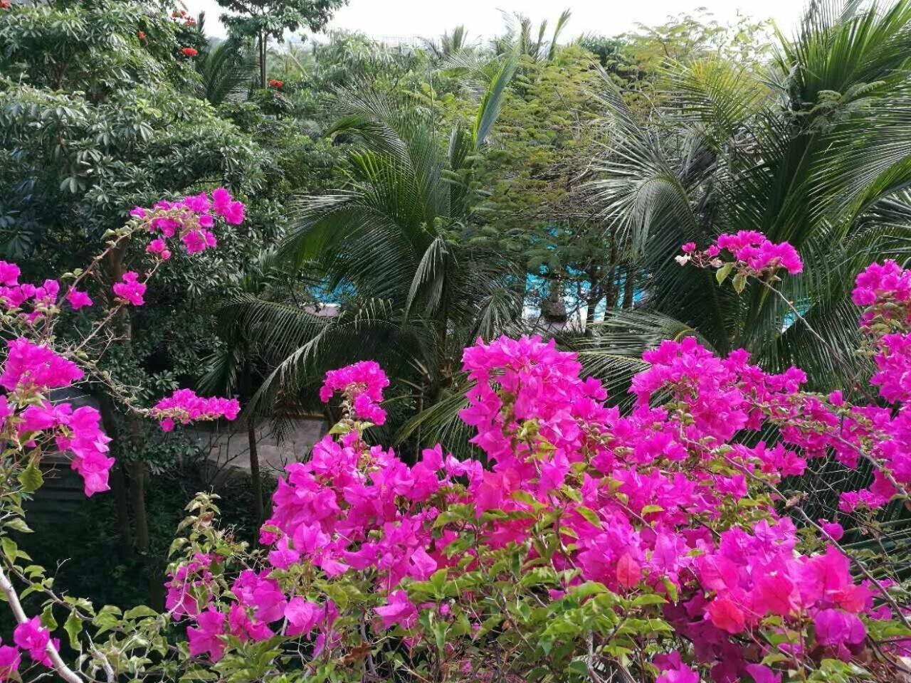 Stony Brook Villa Jianguo Resort Sanya Extérieur photo